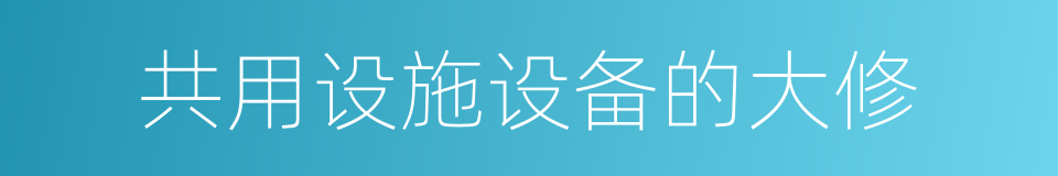 共用设施设备的大修的同义词