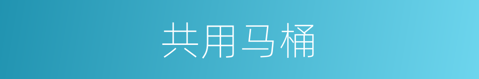 共用马桶的同义词