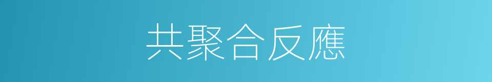 共聚合反應的同義詞