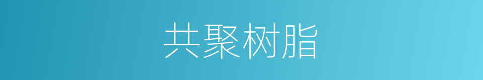 共聚树脂的同义词