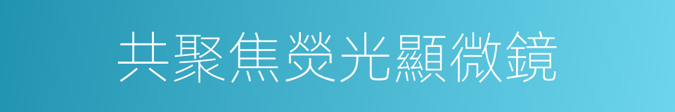 共聚焦熒光顯微鏡的同義詞