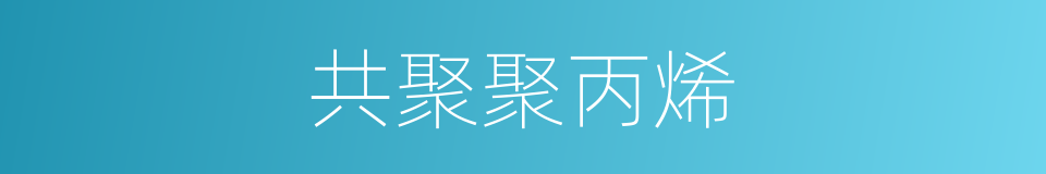 共聚聚丙烯的同义词