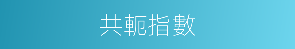 共軛指數的同義詞