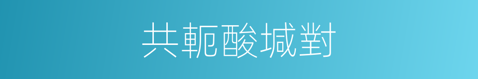 共軛酸堿對的同義詞