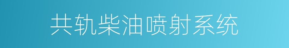 共轨柴油喷射系统的同义词