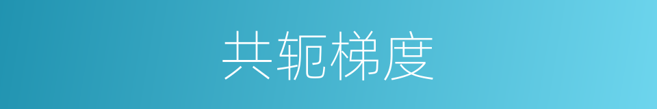 共轭梯度的同义词