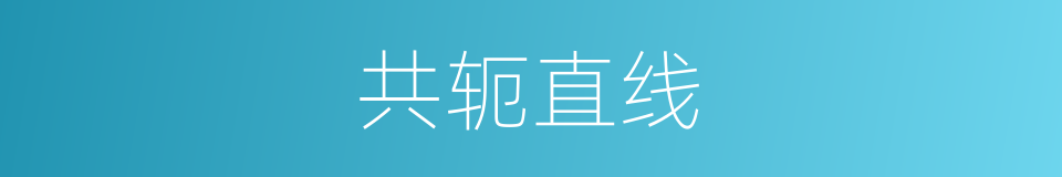 共轭直线的同义词