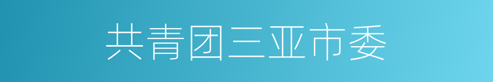 共青团三亚市委的同义词