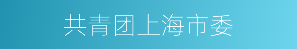 共青团上海市委的同义词