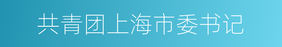 共青团上海市委书记的同义词