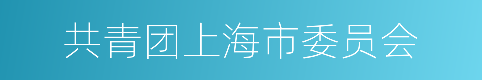 共青团上海市委员会的同义词