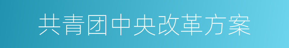 共青团中央改革方案的同义词