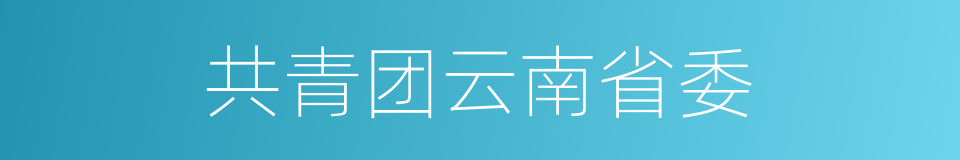 共青团云南省委的同义词