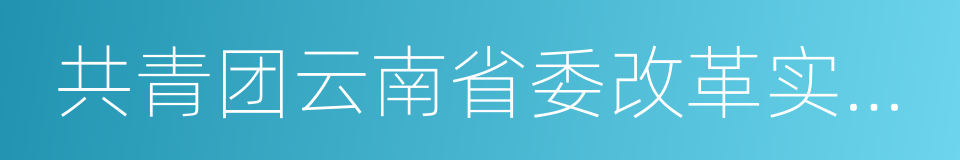 共青团云南省委改革实施方案的同义词