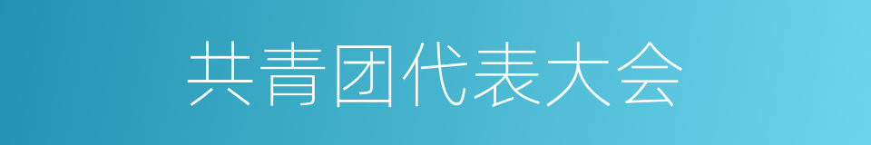 共青团代表大会的同义词