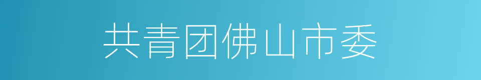 共青团佛山市委的同义词