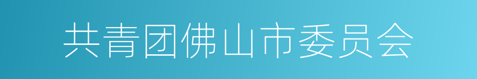 共青团佛山市委员会的同义词