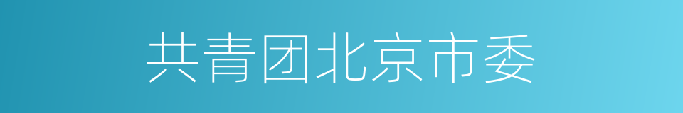 共青团北京市委的同义词