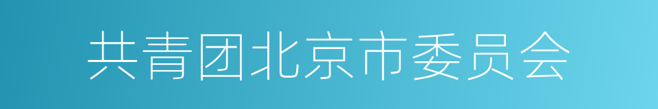 共青团北京市委员会的同义词