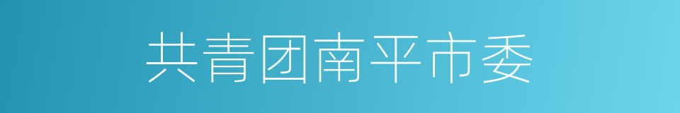 共青团南平市委的同义词