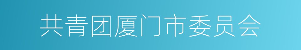 共青团厦门市委员会的同义词