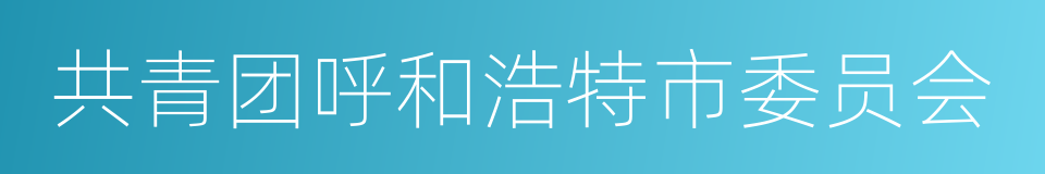 共青团呼和浩特市委员会的同义词