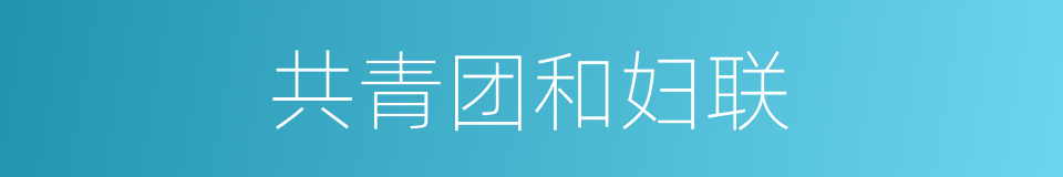 共青团和妇联的同义词