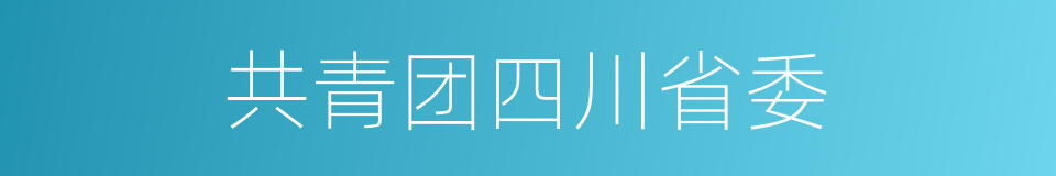 共青团四川省委的同义词