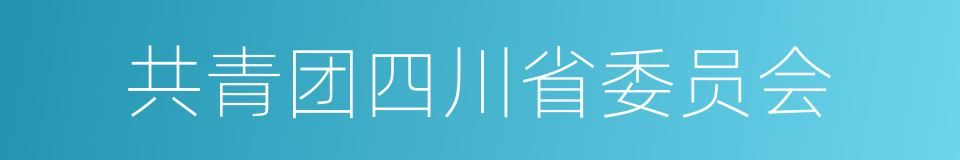 共青团四川省委员会的同义词