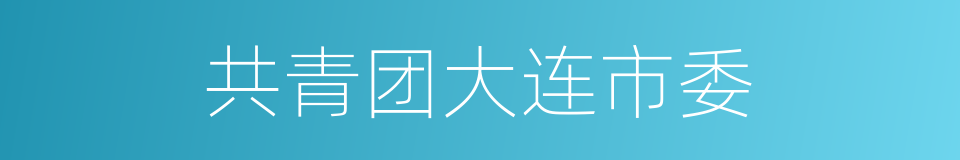 共青团大连市委的同义词