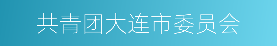 共青团大连市委员会的同义词