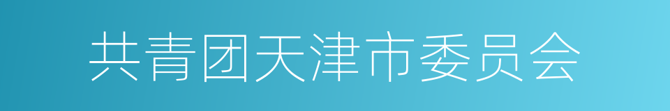 共青团天津市委员会的同义词