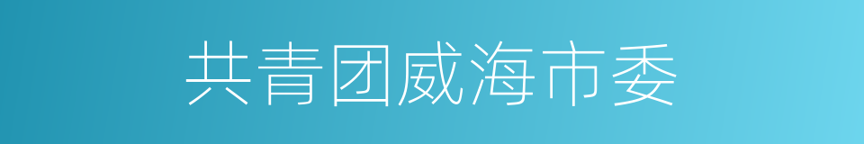 共青团威海市委的同义词