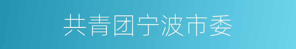 共青团宁波市委的同义词