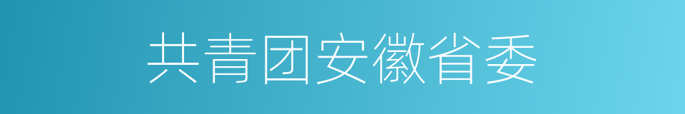 共青团安徽省委的同义词