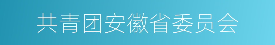 共青团安徽省委员会的同义词