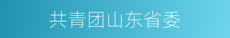 共青团山东省委的同义词