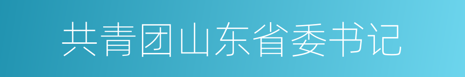 共青团山东省委书记的同义词