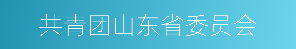 共青团山东省委员会的同义词