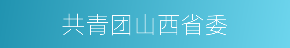 共青团山西省委的同义词