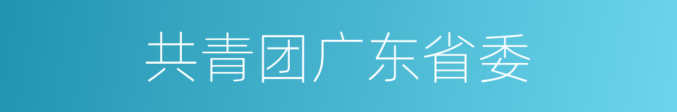 共青团广东省委的同义词