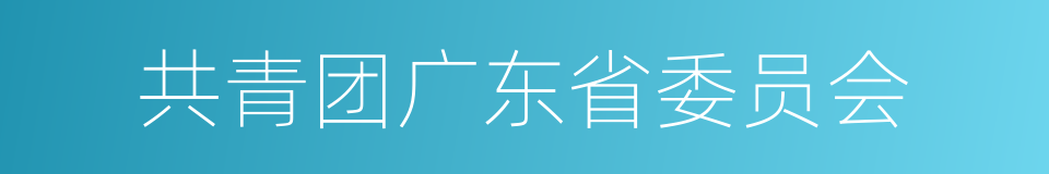 共青团广东省委员会的同义词