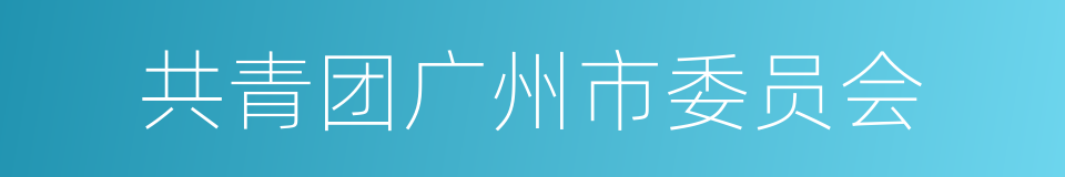 共青团广州市委员会的同义词