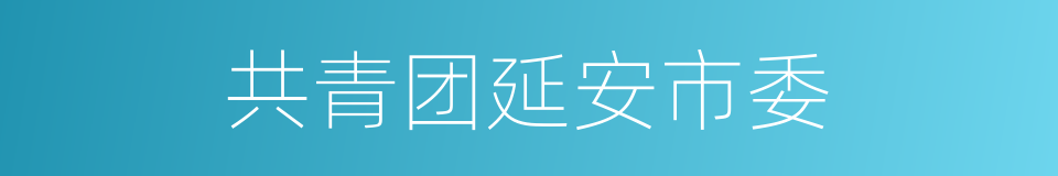 共青团延安市委的同义词