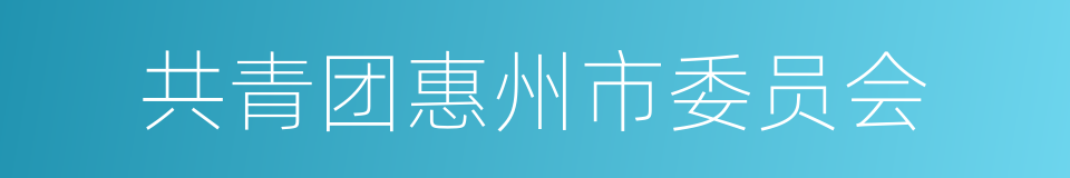 共青团惠州市委员会的同义词