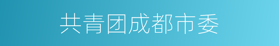 共青团成都市委的同义词