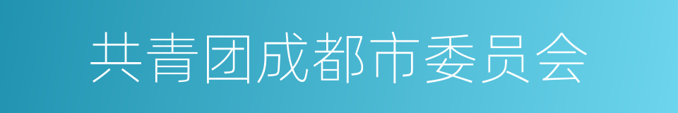 共青团成都市委员会的同义词