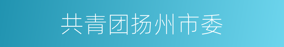 共青团扬州市委的同义词