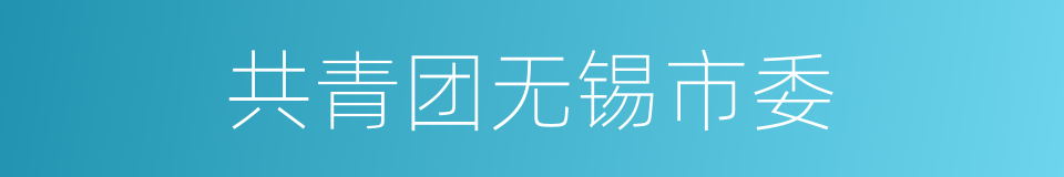 共青团无锡市委的同义词