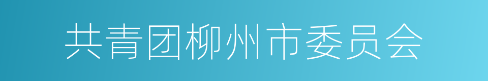 共青团柳州市委员会的同义词